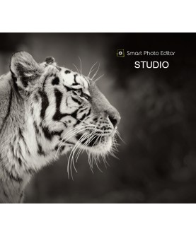 Smart Photo Editor Studio Download Key GLOBAL